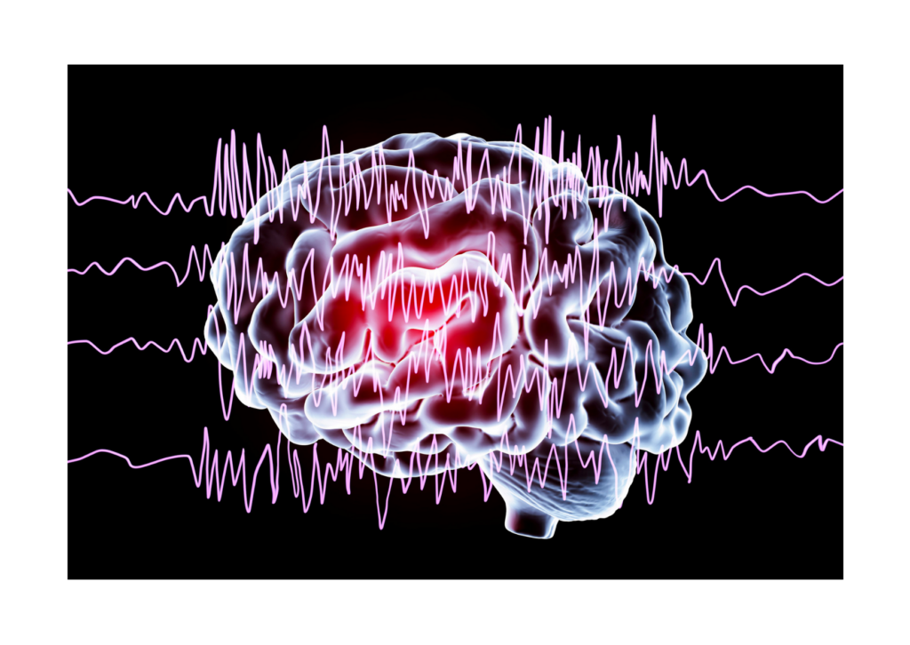 Fale mózgowe